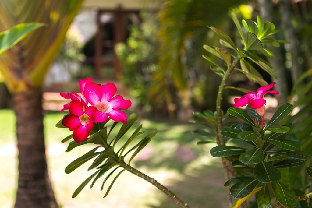 Easy Time Resort Laem Sai Beach Kültér fotó